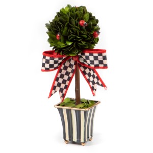 شتول مشذبة دائمة الخضار الخنافس - حجم ميني